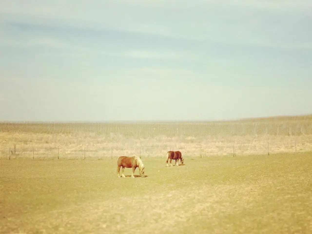 Rewards Offered for Eradication of Invasive Species by Bounty Hunters