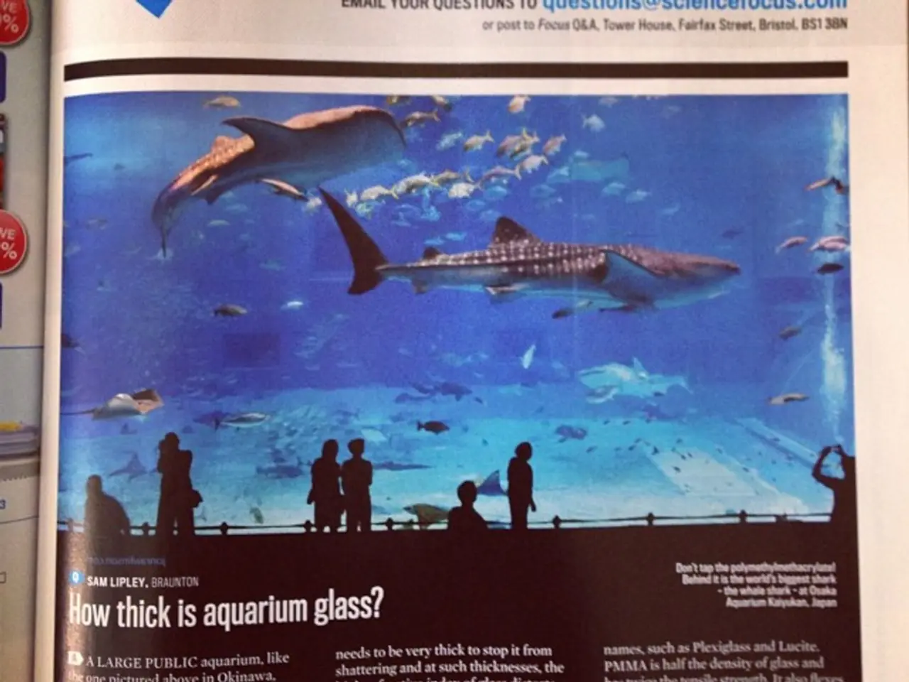 Discover the intrigue about your character by selecting one of our sites; we'll reveal a...