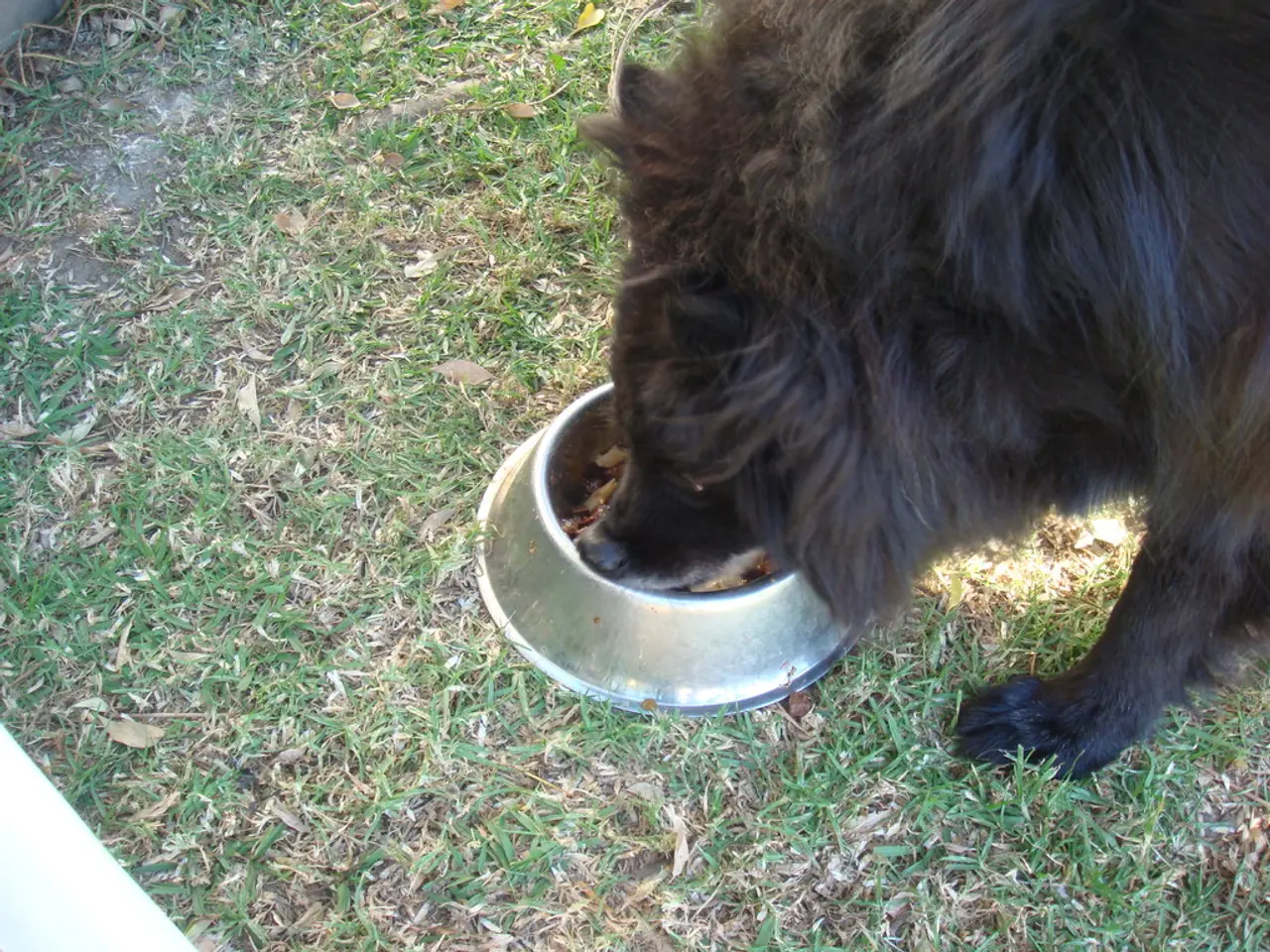 Agricultural Aid for African-American Farmers