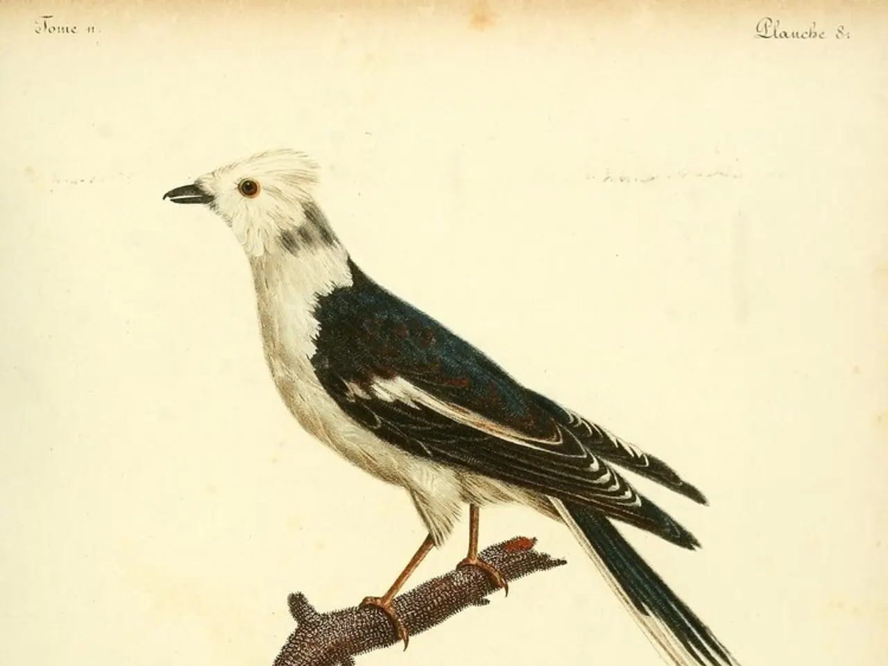 Hard-Hitting Quotes to Boost Your Resilience and Drive