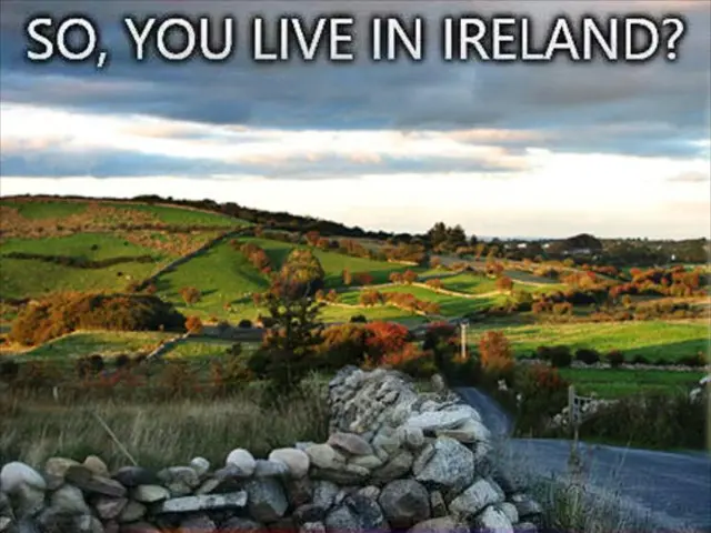 Understanding Fire: Critical Data Points Shaping Evolutionary Perspectives