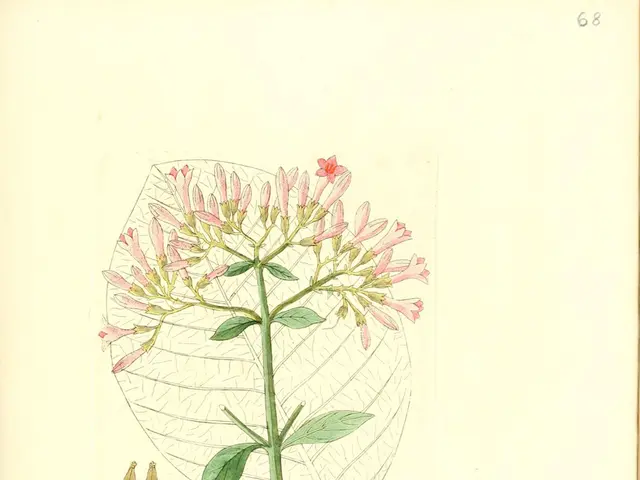 Simple Paper-Based STEM Experiments for Beginners: 15 Exciting Projects to Spark Creativity