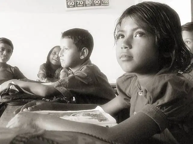 CBSE Holiday Schedule 2025-26: Explore Monthly School Closure Dates, Obtain PDF Format