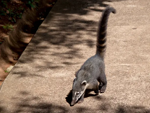 Gastroenteritis Symptoms, Causes, and Remedies