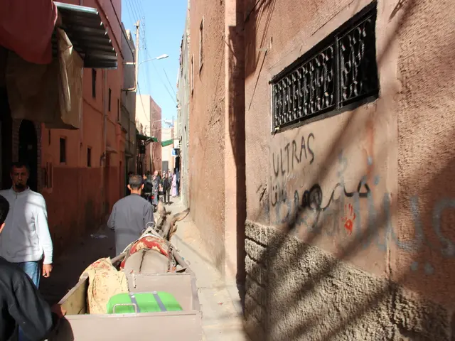 Enhancing Sense of Belonging - Insights Gleaned from Research