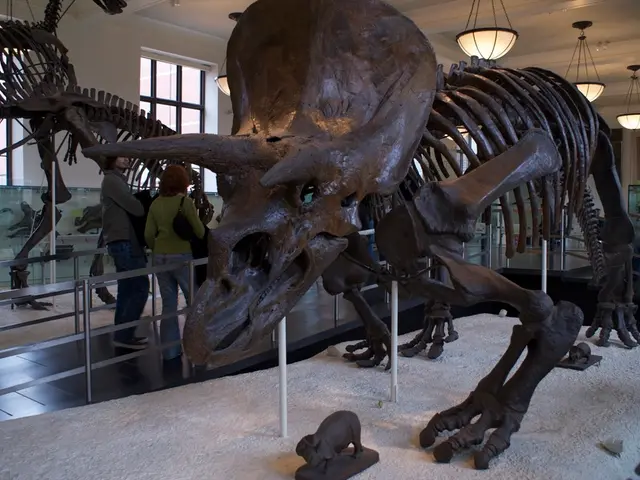 Wyoming Museum of Natural History Situated within Sheridan College