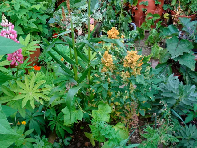 Guide to Establishing a Waste-Free Garden: Beyond Composting