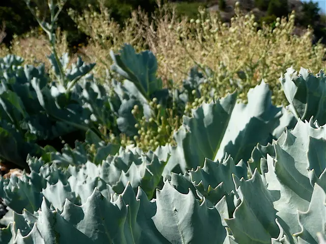 Immersive Plant Cell Exploration in 2025: Venture into the Inner Workings of Biology through...