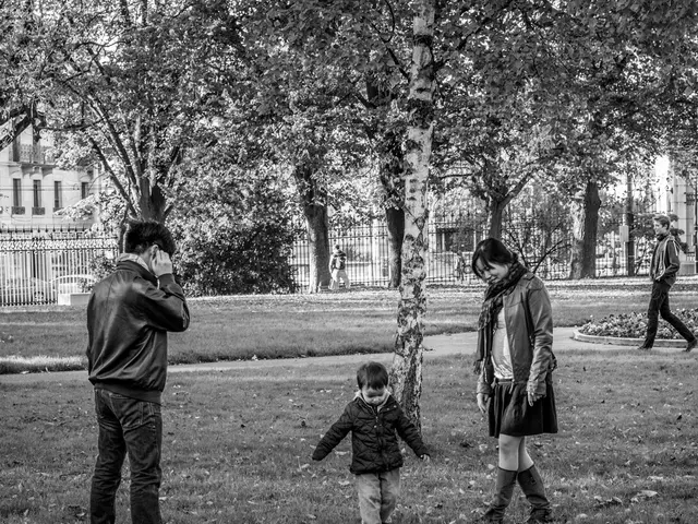 Senior Gardening: Secure, Calm, and Strengthening Horticulture Activities