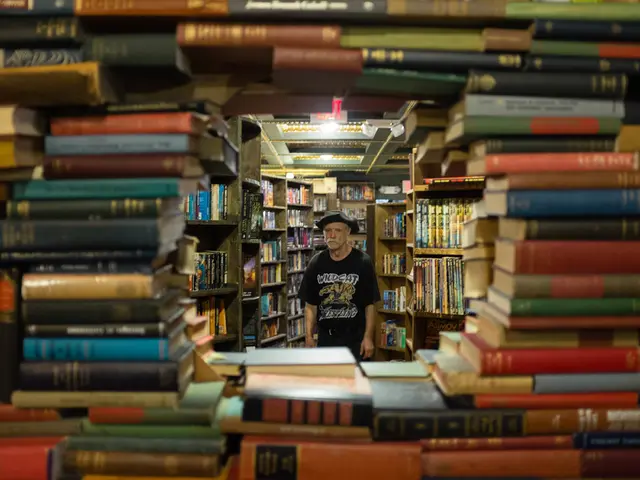 Establishment of a New University Professorship Position at the University of Pforzheim