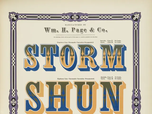 Revealed: Key Insights Gleaned from Our Altered Acronym's Visual Design Training Program