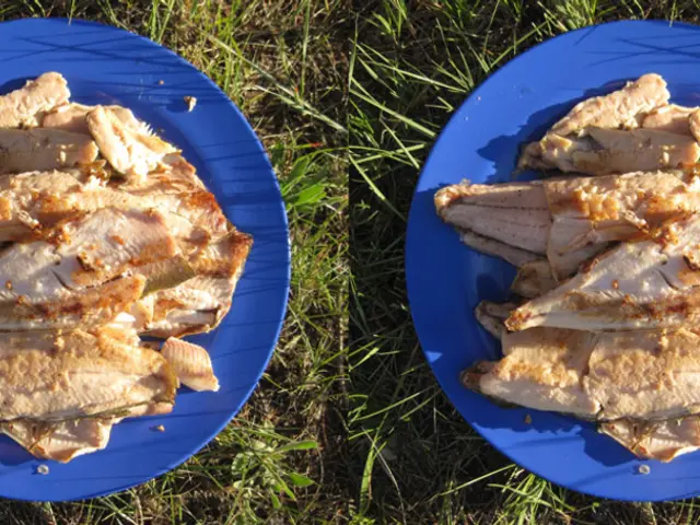 Exploring the Culinary Horizon: An In-depth Analysis of Artificially Produced Beef Steaks