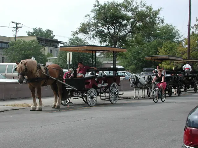 Uncovering the Concealed Implications