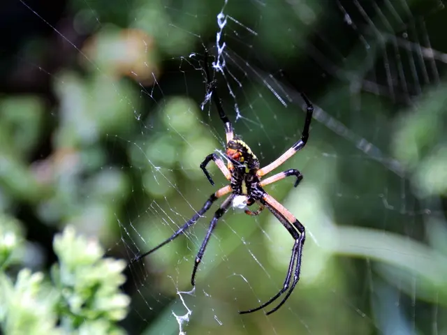 Discovered recently in South America: A Beautiful, Blue-hued Tarantula and Its Companion Species