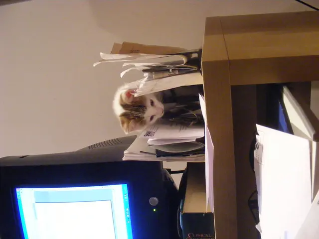 "Five Training Programs for Your Transition into a Business Intelligence Analyst Role"