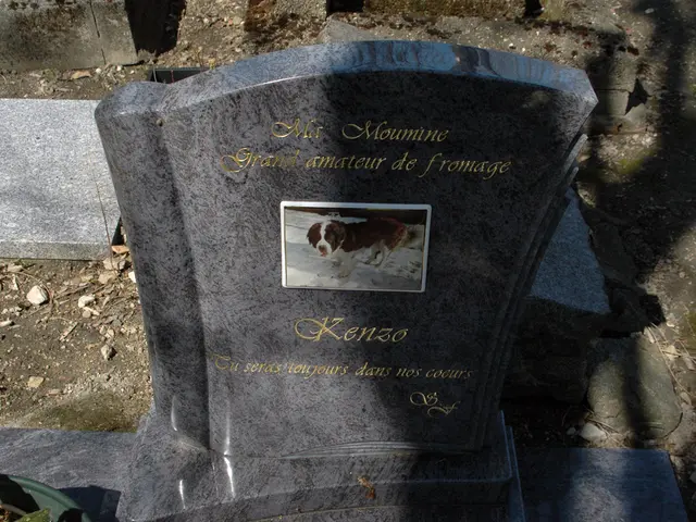 Unveiling of an information board at a Jewish cemetery takes place