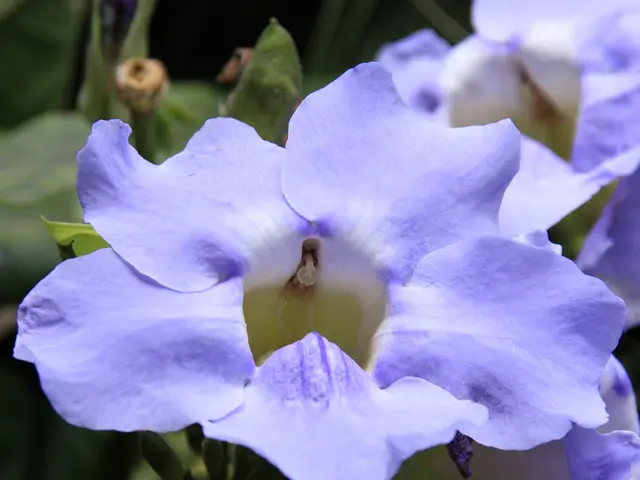 Daily Morning Reflection Exercises: Inspiring Questions to Kickstart Your Day Successfully