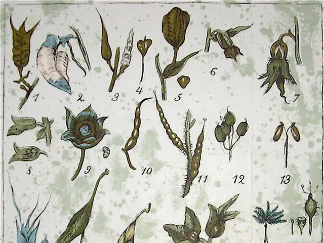 Genetic Modification's Role in Maintaining Species Diversity