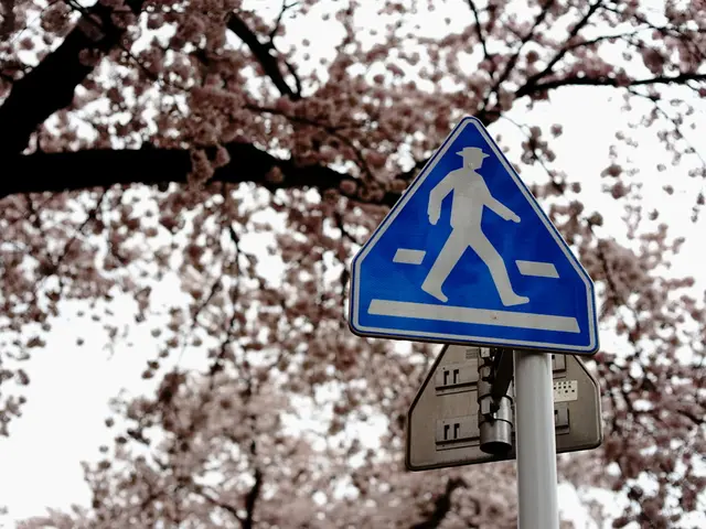 Strategies for Encouraging Dialogue about Awe-Inspiring Nature Literature