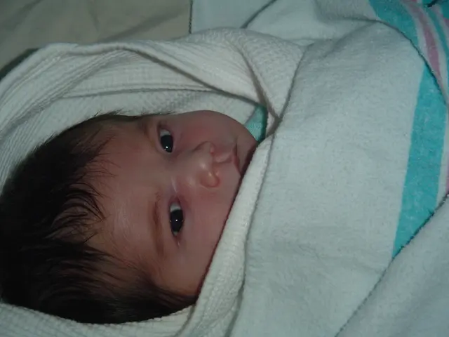 Forced to Halt Employment: Parents' Struggle