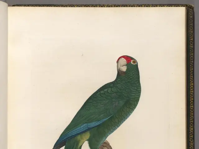 Guiding Your Own Destiny: Five Influential Quotes from Aristotle on Self-Control