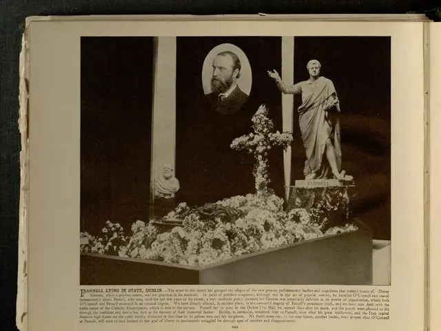 Haryana TET Admit Card for 2025 now available for download at bseh.org.in, with direct links...