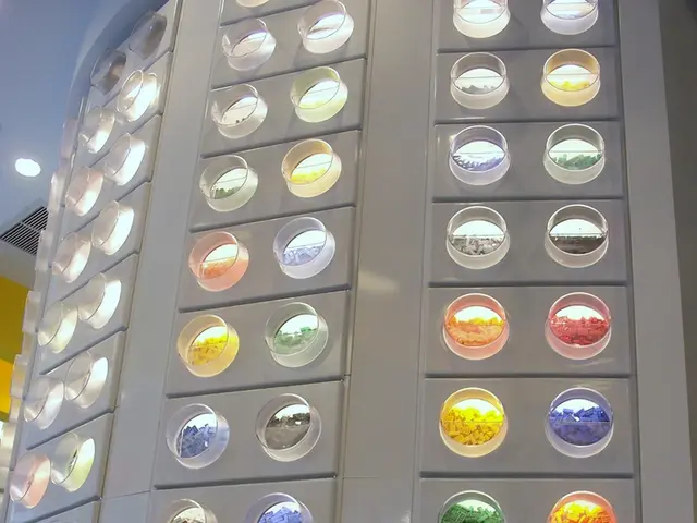 Exploring Probability through the Lens of a Captivating Game