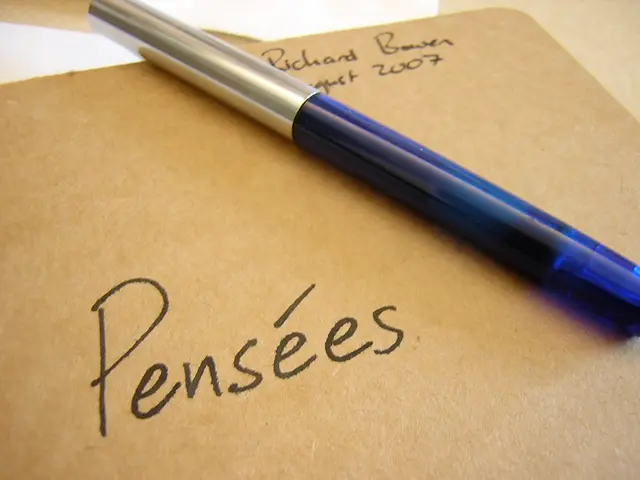 Guide for Rapidly Crafting a Remarkable Portfolio Essay