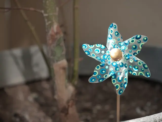 Cultivating Aesthetic Bonsai: Incorporating Windswept Elegance and Poised Graciousness