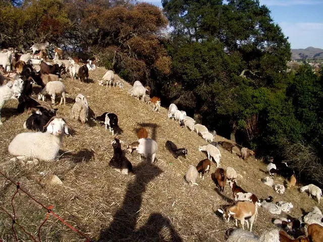 Developing Six Advanced Approaches Combining Science and Technology to Foster Tangible Competencies