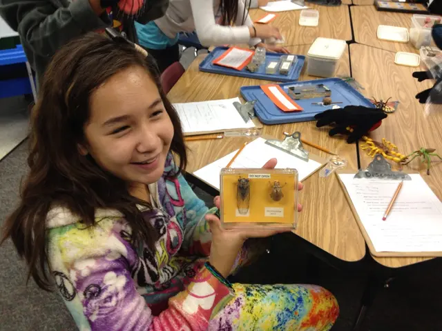 Influence of Affective Interactions between Students on Self-Awareness Decisions and Academic...