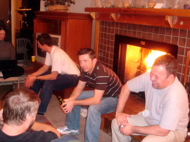 Revamped Heating Solutions: Wood-Fueled Boiler Stoves