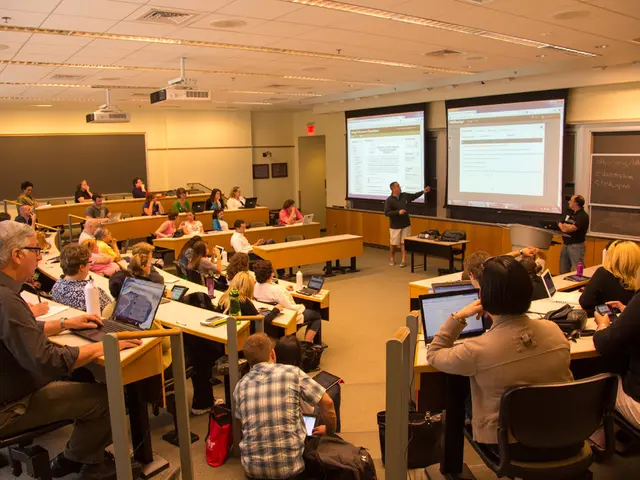 Exploring the Function of Projectors in Human Design Blueprint