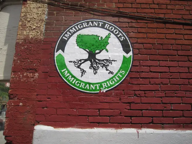 Test of Democratic Resilience: A Reflection of the Recall Movement