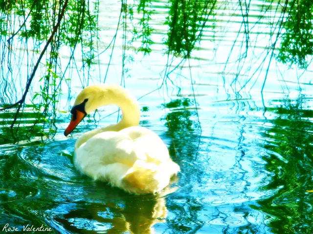 Wildlife protection organization, Suffolk Wildlife Trust, issues statement following Sizewell C's...