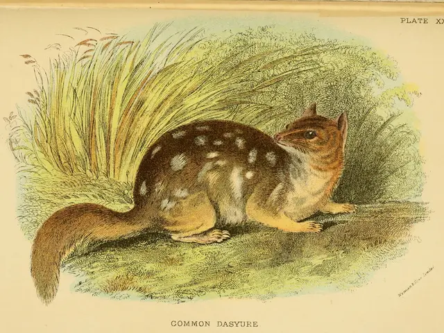 Scientific Writing Scores Higher with Chat PDFover ChatGPT PDF Reader: Here's Why