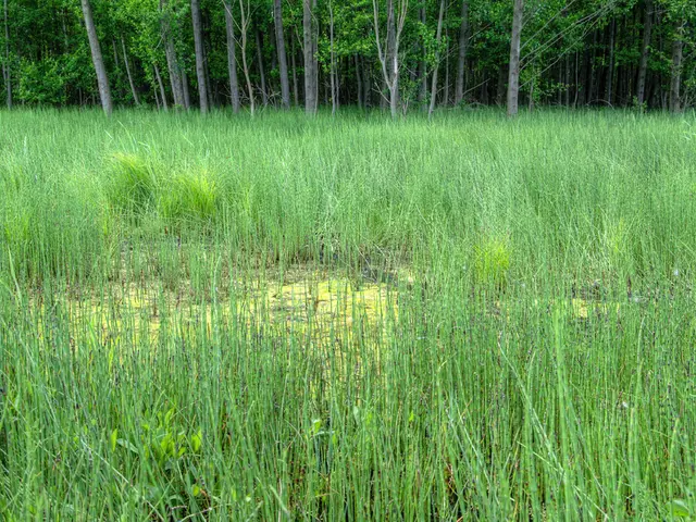 Protecting the Rural Heartland: Crucial Cybersecurity Measures for Family-Run Farms