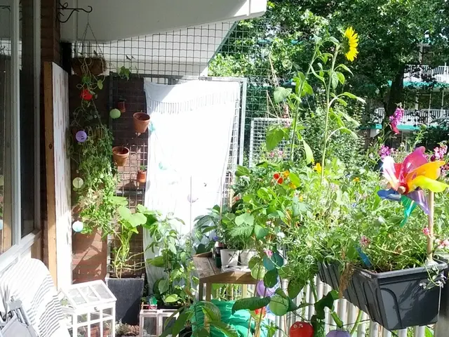 Transform Clutter into Tranquility with the Law of Attraction | Manifest a Simplified Lifestyle