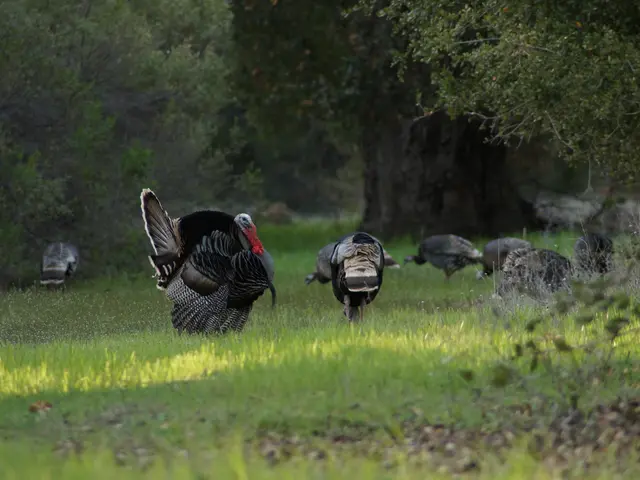 Nationwide Environmental Movement Ignited by Children in Turkey