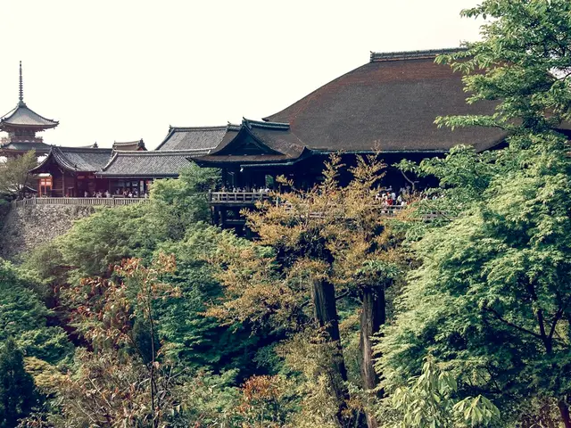 Bonsai Texts Delving into Philosophy: Uncovering Ideas and Insights