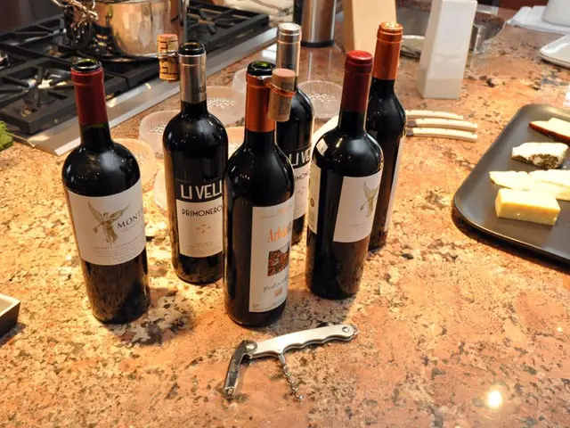 Egyptian FinTech Startup PALM Secures Seven-Figure Pre-Seed Funding for Innovating Targeted Saving...