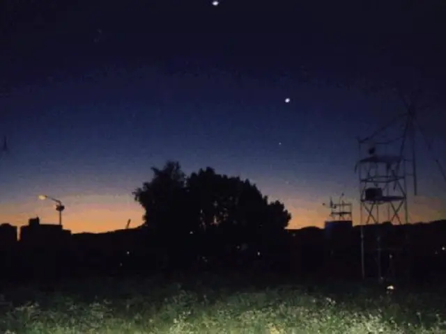 Top 21 Indoor Plants Thriving Under Reduced Light Conditions