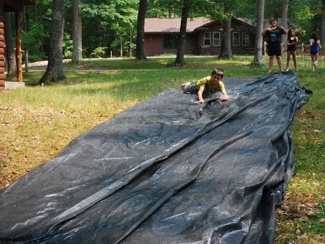 Need for Foster Families - Children Such as Regina Require More Than Just Shelter