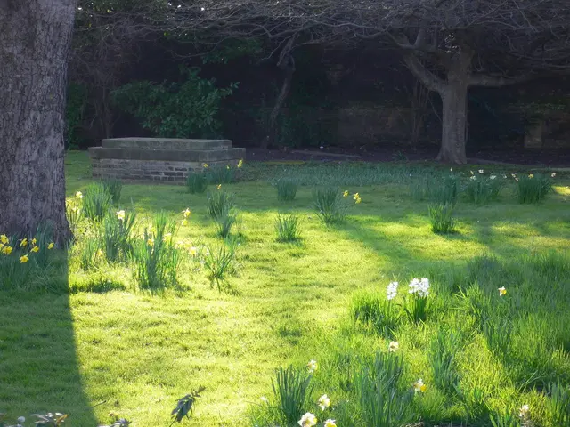 Unveiling the Coded Secrets Within Your Slumber: Interpreting the Symbolism in Your Nightly Visions