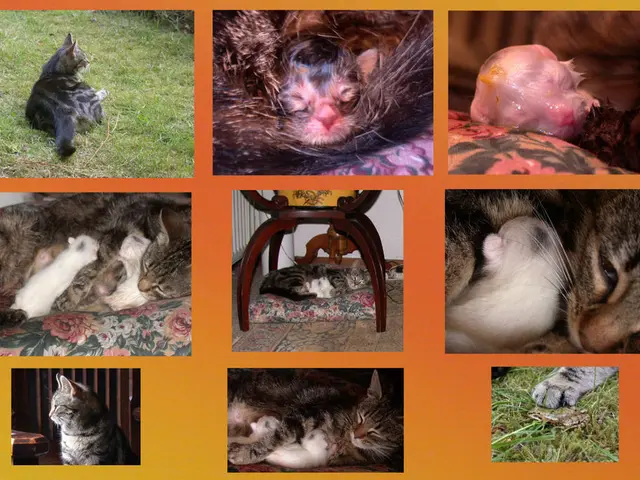 MIT appoints Chris A. Kaiser as provost