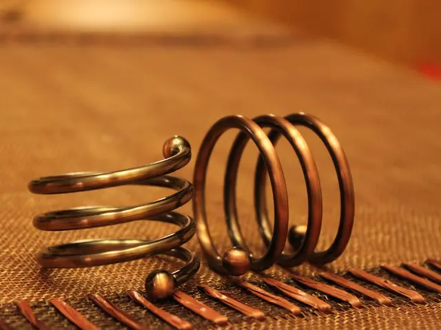 Forces at Play on a Spring: Analyzing the Interactions