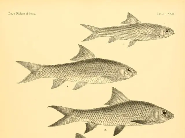 Is your intelligence impressive or is your knowledge frustratingly inadequate, akin to a cat's...