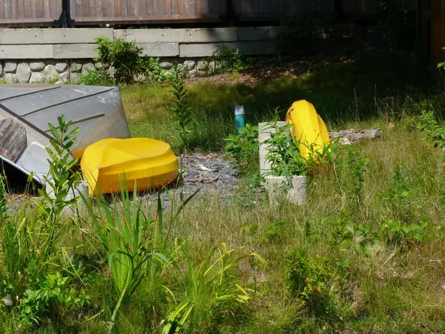 Māori Perception on Estuarine Environments