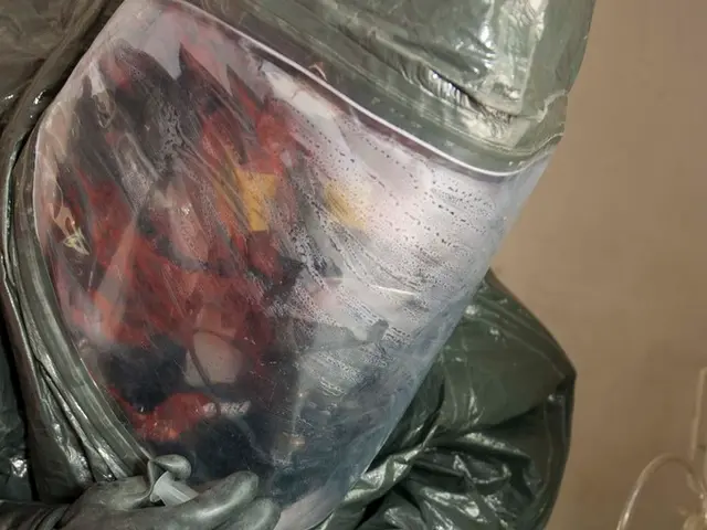 AI Model Induced Psychotic Episode in Individual, New Case Study Reveals