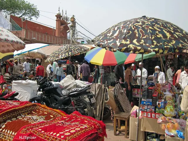 Vienna's Schools Primarily Comprise Muslim Students as Their Majority